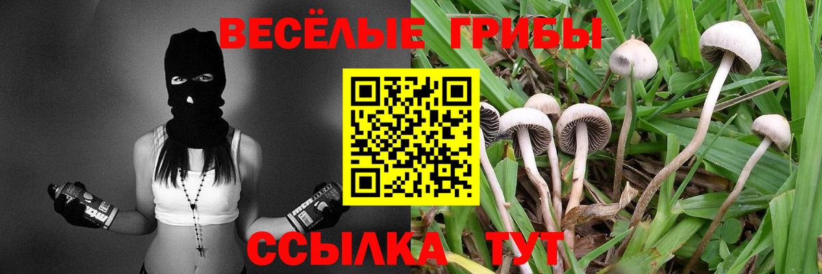Псилоцибиновые грибы ЛСД  Вход с VPN  Галлюциногенные грибы прущие грибы  Абинск 
